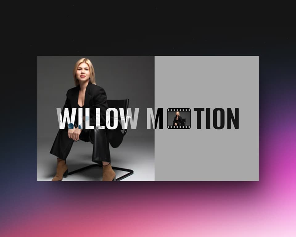 Willow Motion